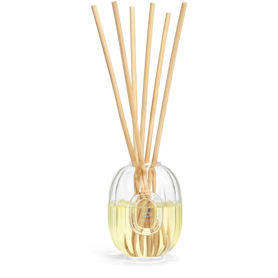 Glass vessel for reed diffuser 100 ml - Colorless